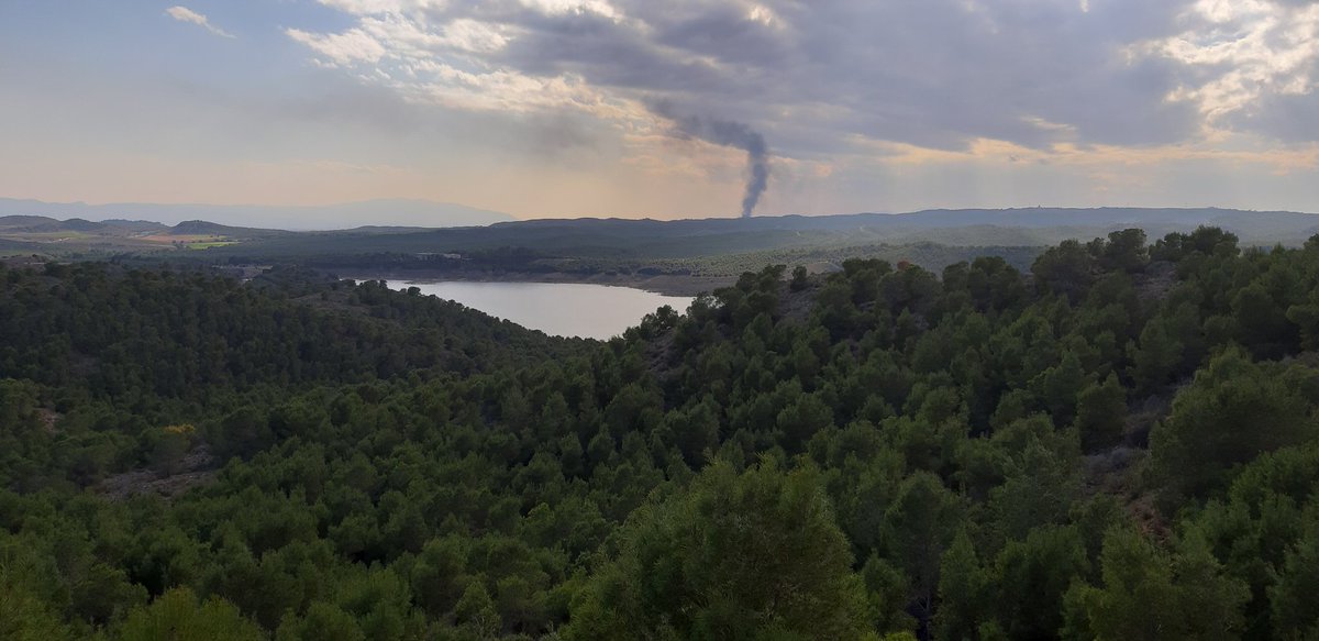 Dany Data tweet media