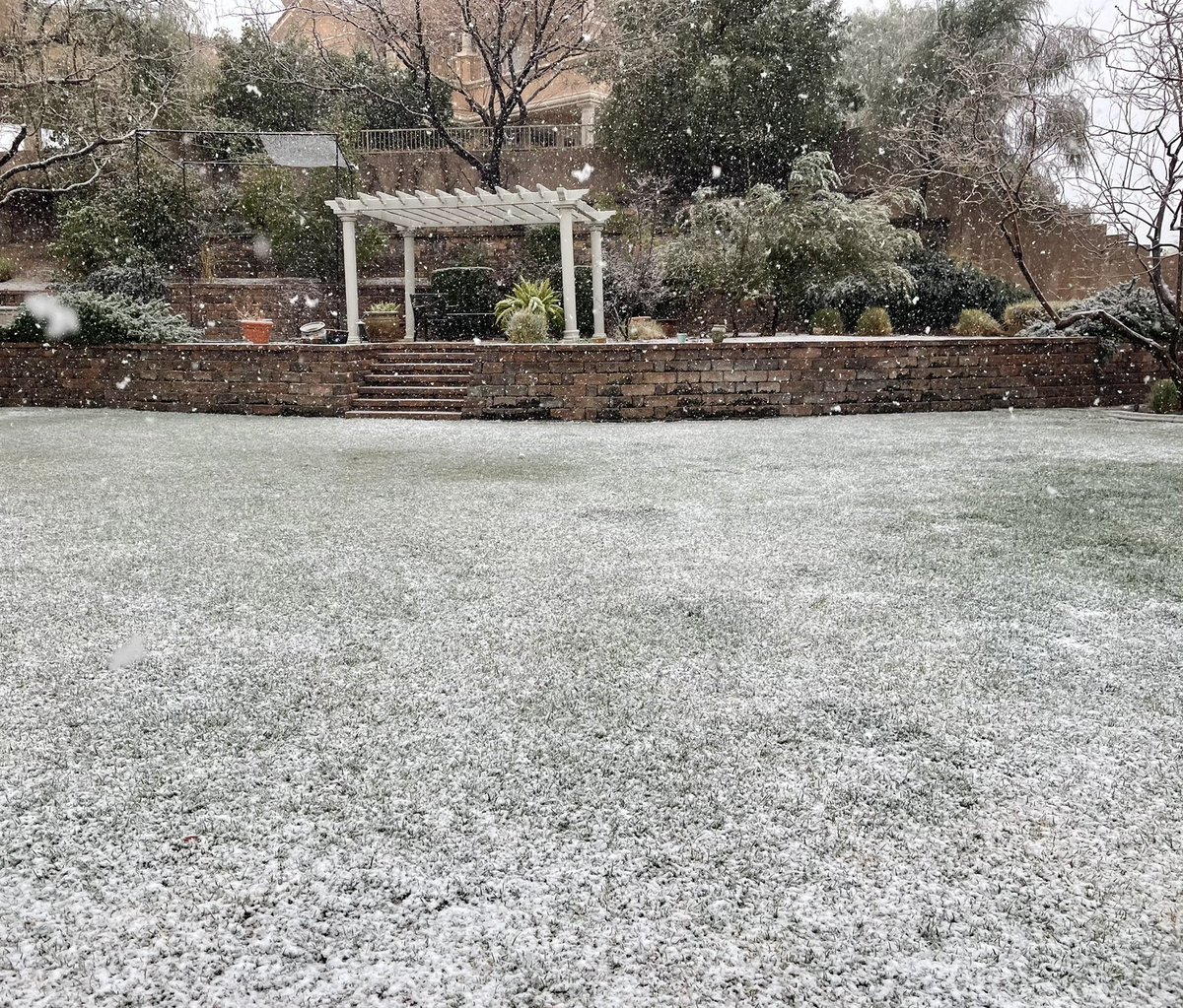 RyanCaviola's tweet photo. ATTENTION ALL: 
it is snowing in March in Las Vegas ❗️❗️❗️❗️ https://t.co/FHxodemQMA