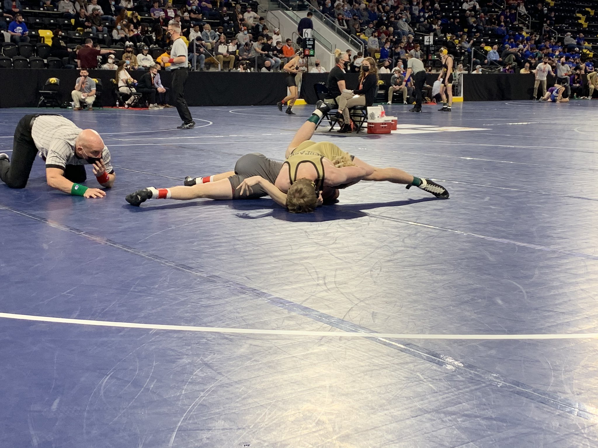 Arena Flowrestling - km9uswi