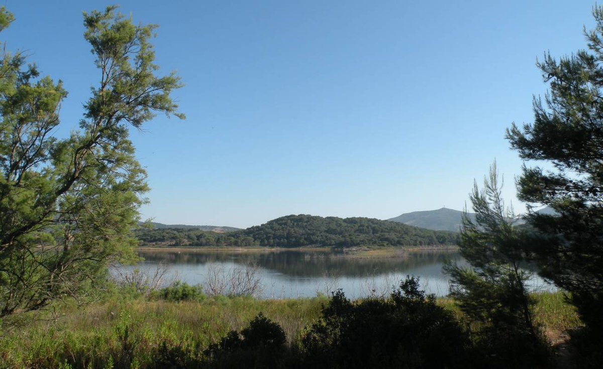 CSmeraldaOff's tweet photo. Baratz, un lago tra leggenda e realtà #Alghero #biodiversità #CostaSmeralda #cuiles #fiaba #MonteCanistreddu #Nurra #ParcoGeominerariodellaSardegna #ParcoNazionaledellAsinara #ParcoregionalediPortoConte #pini #PortoFerro #rimboschimento #Sassari https://t.co/ocLAEoG0mx https://t.co/9XJDeP3MjZ