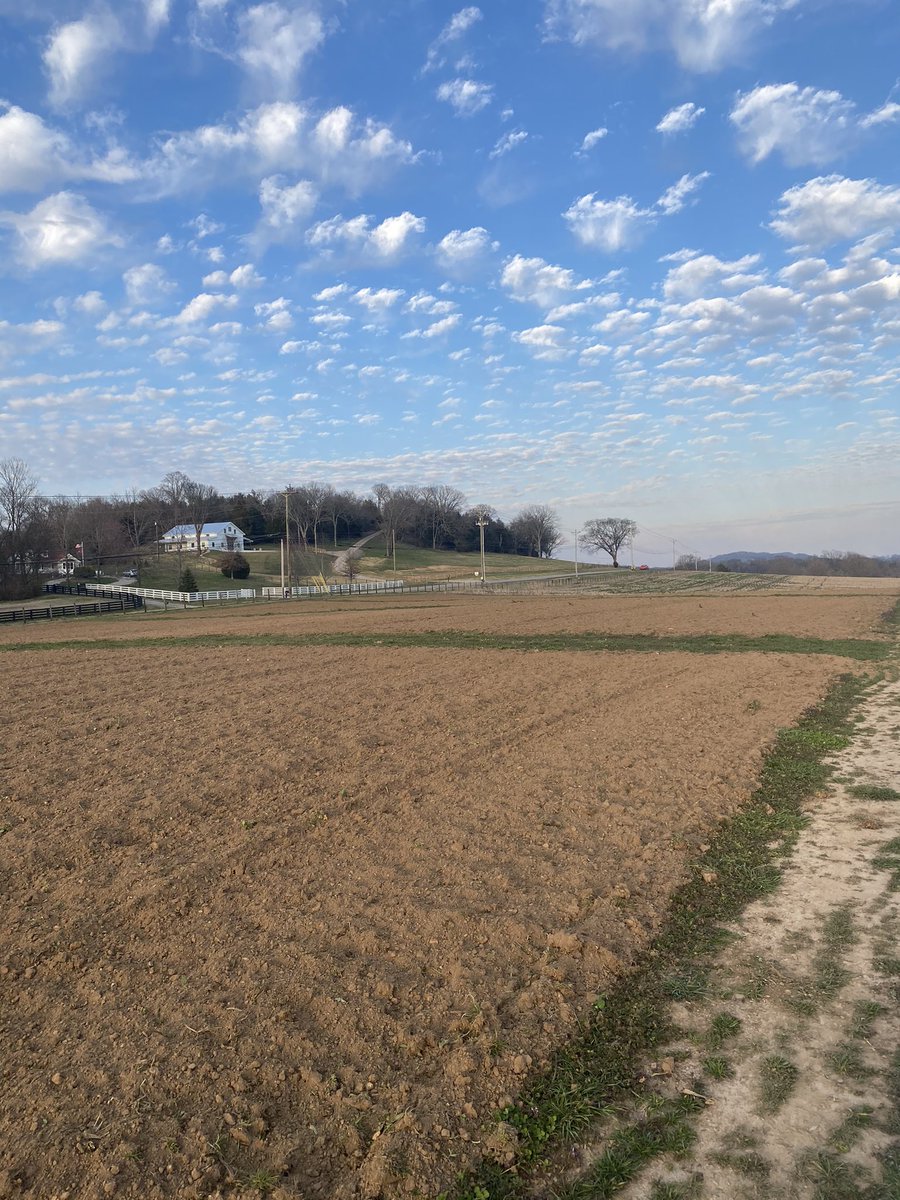 jedcoppenger's tweet photo. So excited that @redemption_city gets to grow &amp; give away thousands of pounds of food to help some hungry folks here in Mid-TN another year. Last year we gave away over 40,000 lbs. Can’t wait to see what God does this year! First signs of life already sprouting! #hopeforthehungry https://t.co/GlIWDweIZO