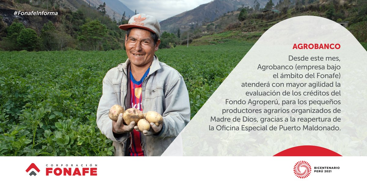 CorpFonafe's tweet photo. De esta manera, @AgrobancoP (empresa bajo el ámbito del FONAFE) agilizará el otorgamiento y desembolso de créditos agrícolas y pecuarios, a través del #FIFPPA y del #FondoAgroperú, impulsando la productividad de los pequeños agricultores de Madre de Dios.
#FonafeInforma https://t.co/D9cAajOWeL