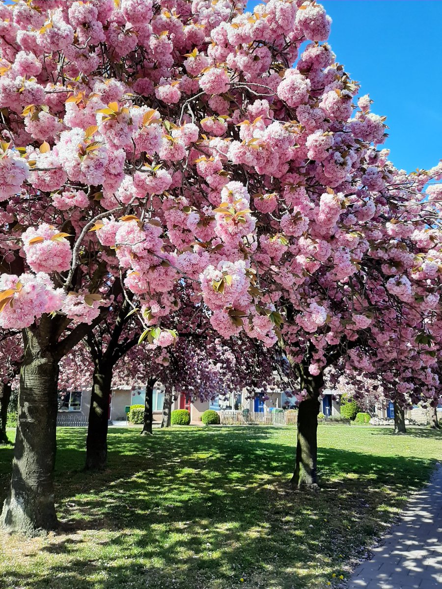 Nog even en dan .............