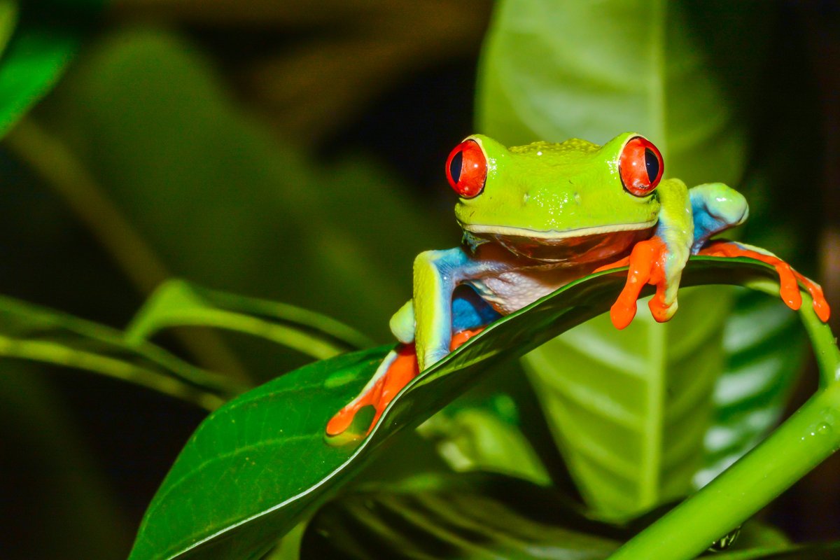 Der Report The #Economics of #Biodiversity von Partha #Dasgupta ist ein Weckruf, Wirtschaft nicht mehr ohne die Natur zu denken. Damit verbinden sich viele unbequeme Wahrheiten

green-up-your-future.de/weckruf/

#BBNE @bmu #ESF-Bundesprogramm <a href="/BMAS_Bund/">Bundesministerium für Arbeit und Soziales</a> #Berufsorientierung <a href="/BIOKON_eV/">Rainer Erb</a>