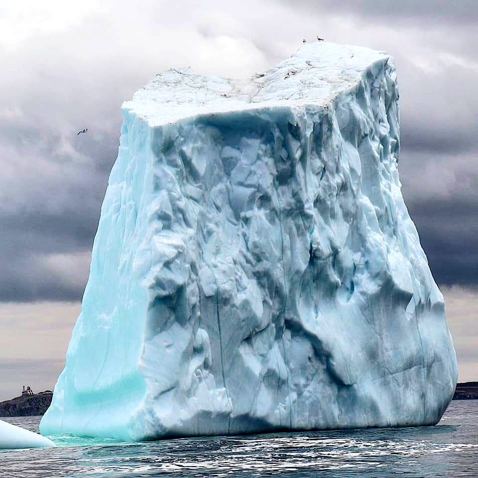 GrayMarker99's tweet photo. That's a big chuck of ice!
Can you see the the birds and lighthouse? 
#newfoundland #photography #ExploreNL https://t.co/3tDTglqxZX