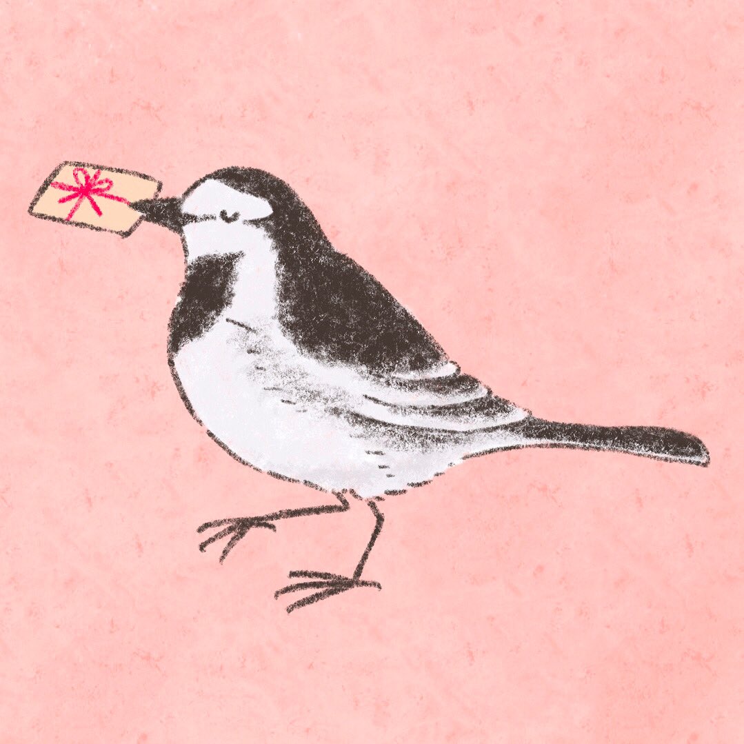 えびんぐ イラストレーター ハクセキレイを描きました イラスト ほっこりイラスト ゆるいイラスト ほっこり かわいいイラスト 動物イラスト セキレイ ホワイトデー