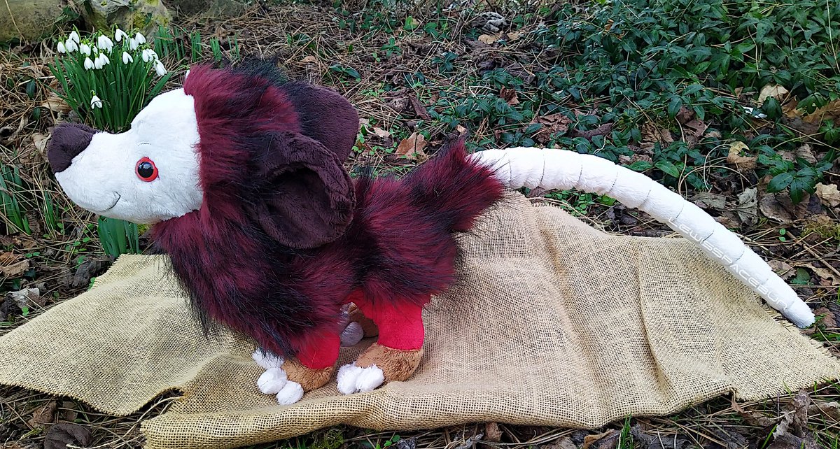 VileHound_'s tweet image. This fuzzy little fella is looking for a home! This baby is about 10 inches tall, perfect size for hugs :3 It is up for grabs for 60$ 
Please read my TOS before claiming: docs.google.com/document/d/1bZ…
I'm so happy with this little possum, I hope you'll like them too! &amp;lt;3