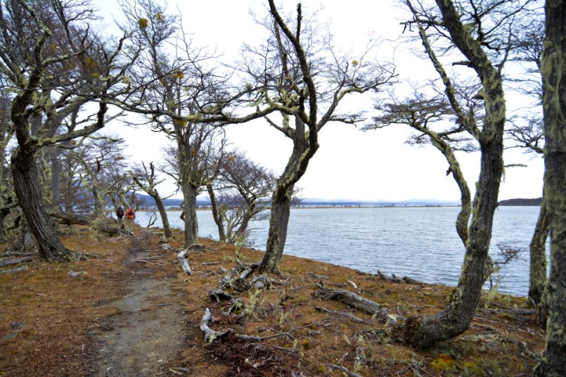 InFueTur's tweet photo. Te invitamos a conocer la Reserva Laguna Negra: Sendero Paisaje en Movimiento

✔Ubicado en la cabecera del Lago Fagnano, en cercanías de Tolhuin. 
✔Sendero señalizado 
 ⏰Duración: 2 horas
 💔Dificultad: Baja 
 ✔Longitud: 4 km 
 🔁Lineal ida y vuelta 
 📵Sin red telefónica https://t.co/0LXfMR5lJj