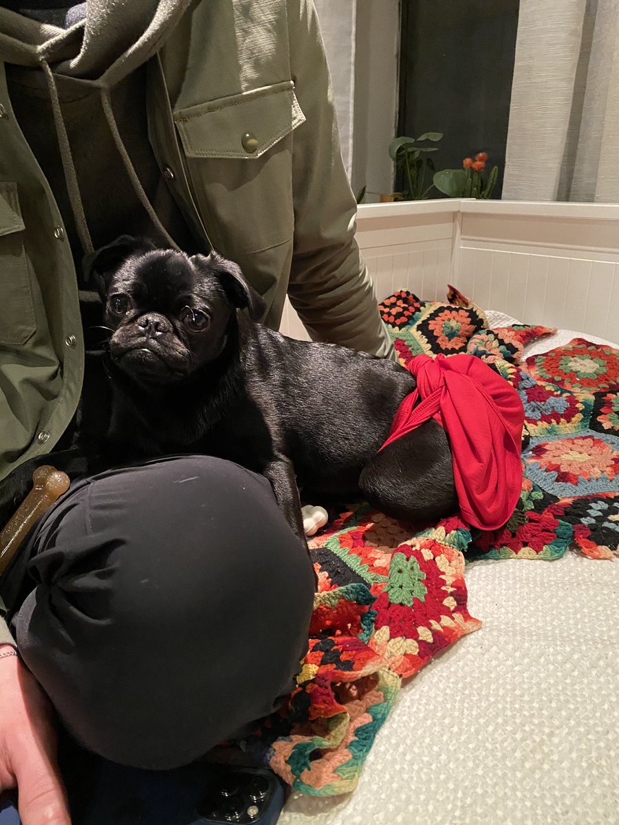 Syd Robinson tweet media