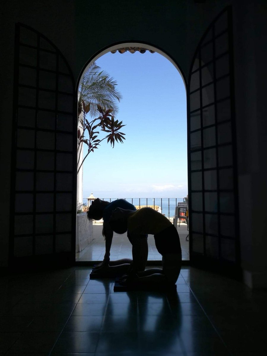 💙 an at home retreat experience 💙

With Ty Chandler &amp; Sharoni Fixler 

☆asana
☆pranayama 
☆sutra chanting 

Join us this weekend ⤵️

🔗yogayyc.com/workshopsnews