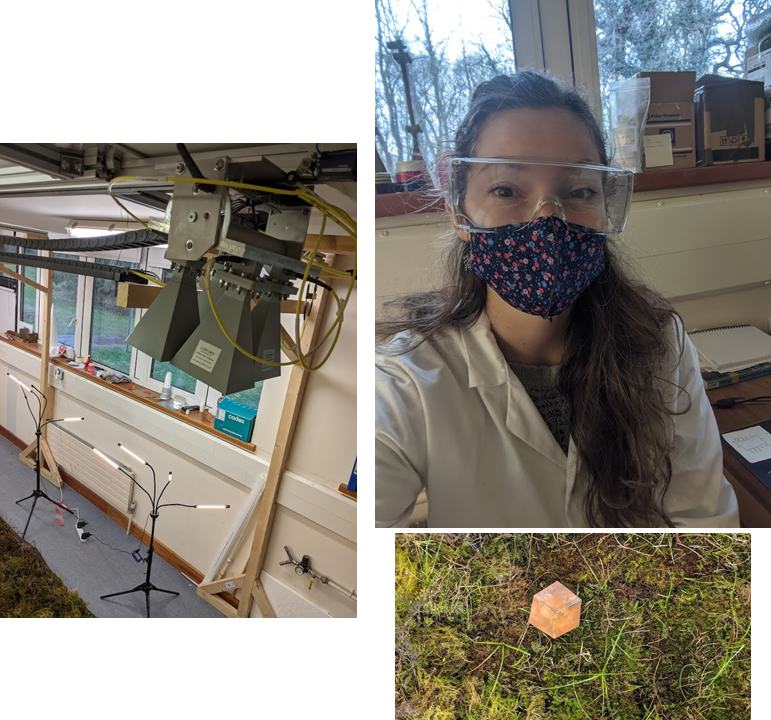 SistersofSAR's tweet photo. 4/5⭐️#SAR_STAR @linda_toca has also been using #SAR within a #radar lab at @UniRdg_Met! In this #C_band #SAR lab she is looking at the interaction of the #SAR signal with the #peat surface during different hydrological conditions, using different polarizations &amp; incidence angles! https://t.co/mYou8yct8C