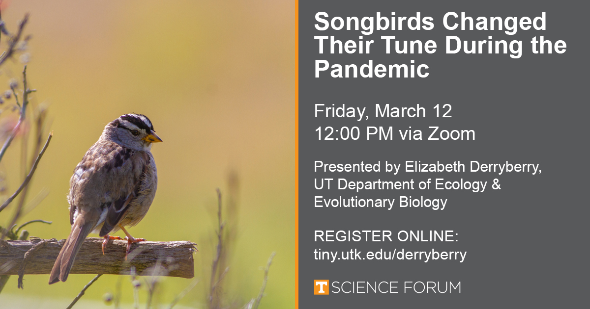 UT Science Forum tweet media