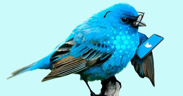 Cardanians_io's tweet photo. #Cardno bird is going to arrive from Africa. And more birds are on the way. https://t.co/yP818wLG2f