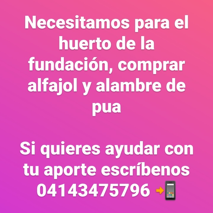 EsperanzadeVi1's tweet photo. Quien nos ayuda por favor????

Somos Fundación Esperanza de Vida en MARIARA ESTADO CARABOBO VENEZUELA

#siguenos y ve nuestra labor social a beneficio de los niños y abuelos 🙏🙏🙏🙏🙏🙏🙏🙏🙏🙏🙏🙏🙏

📲04143475796 número de contacto de la fundación

@AnonMundial https://t.co/RuJdKhUJWL