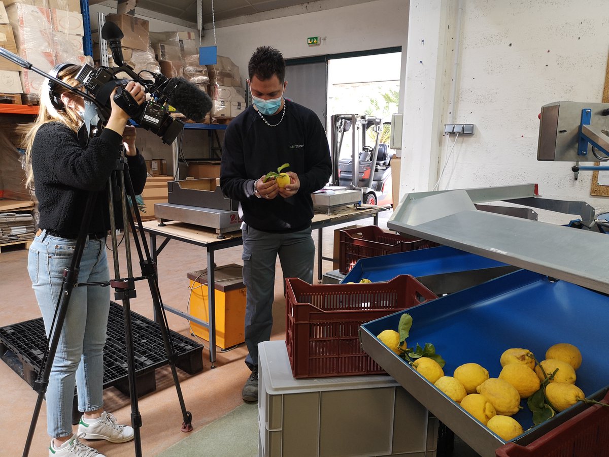 Reportage🎥Esatitude Menton a ouvert les portes de sa station de tri du citron à <a href="/EricDehorter/">Eric Dehorter</a> Journaliste <a href="/France3Provence/">France 3 Provence</a> , dans le cadre de la préparation d’un reportage sur le citron de Menton. A suivre...