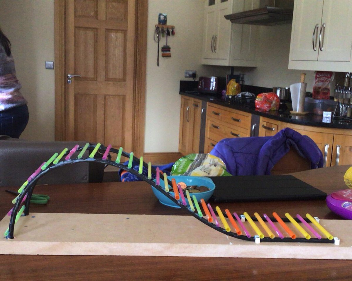 PatrickswellNS's tweet image. For Engineering week Mr Quaid&apos;s talked about how rollercoasters are built and how they worked. Here&apos;s a few pictures and videos of our own rollercoasters we made @scienceirel #engineersweek2021