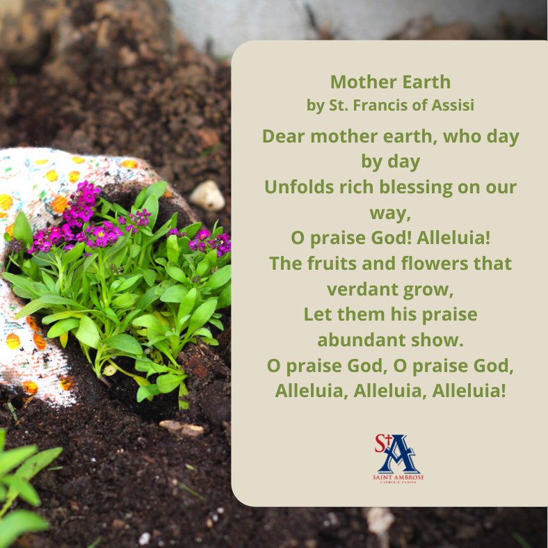 StAmbroseChurch's tweet photo. It's National Plant a Flower Day! Get outside today, enjoy the sun with loved ones, and even if you don't get to plant something today (because it is still only March in Ohio), just take the opportunity to appreciate the beauty that exists in what is blossoming already! https://t.co/LLP3utTI69