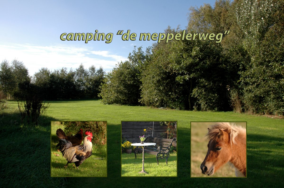 Even een rondje Ketelmeer vanuit de Camping. Geen garantie maar wel de Zeearend gespot.