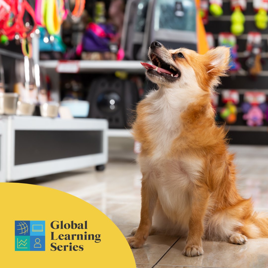 GlobalPetExpo's tweet photo. Have you started planning your educational experience at #GlobalPetExpo Digital Access? The #GlobalLearningSeries offers learning opportunities customized for retailers, distributors, and manufacturers. Learn more and start planning your schedule here: https://t.co/klOYMHyXDK https://t.co/8wuz3N8fY4