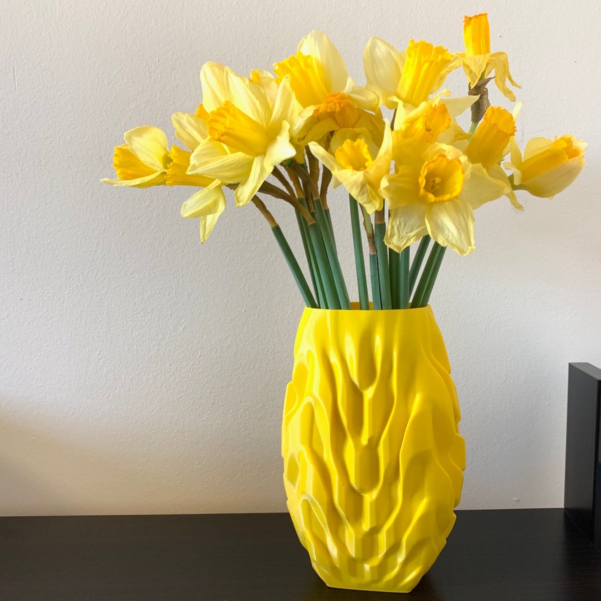 Fiberlogy_3D's tweet photo. Longing for spring, we please the eye with this sunny yellow color.
-----
Filament: #Fiberlogy ASA Yellow - https://t.co/tuqlf3T4DD
Designer: @extreme3dprint⠀
Model VASE 93 Trio via @Cults3D⠀
⠀
#3dprint #3dprinting #3dprinted #3ddruck #stampa3d #impressionen3D #impression3D https://t.co/svU6nCjY2o