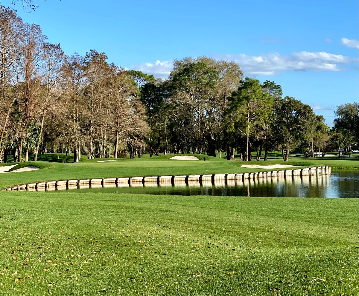 Innisbrook's tweet photo. Can you name this hole on Copperhead? #innisbrooklife #copperheadcourse #golflife https://t.co/STYwa9C0GA