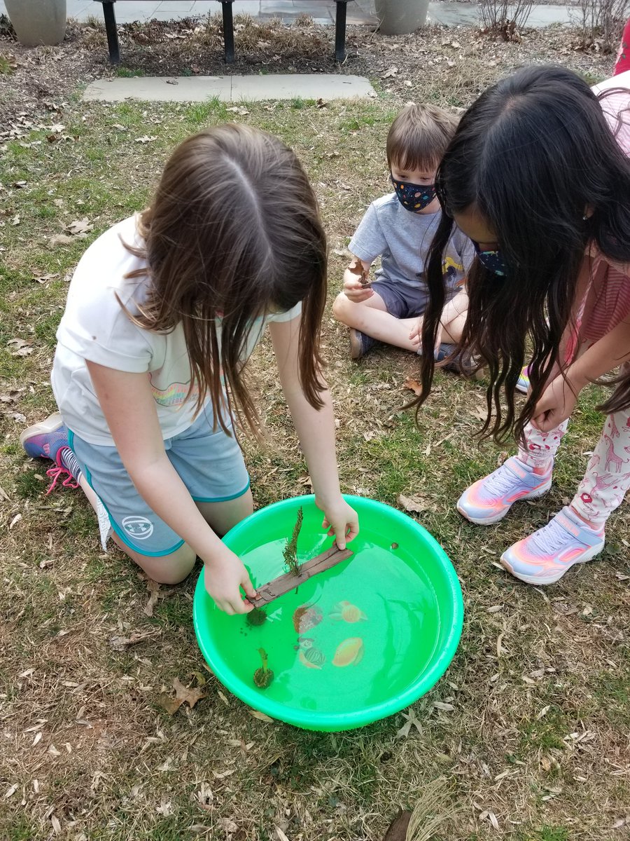 brenna_houck's tweet image. Kids are creative! 

Building rafts and testing buoyancy, using resources found while exploring. @ANStweets