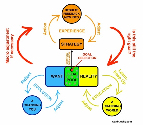 Master of Some - Health, Fitness & Life Podcast tweet media