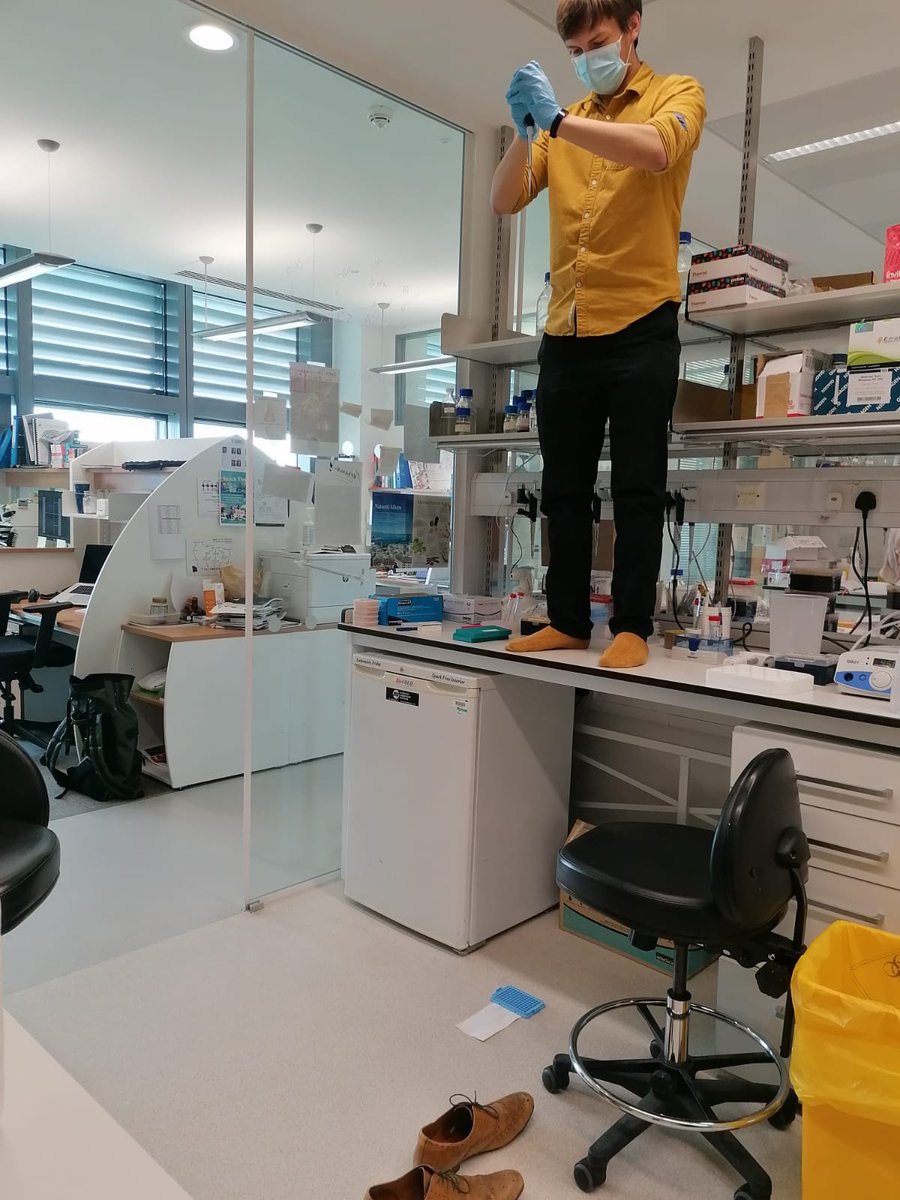 Dabrica's tweet photo. How do we describe this in the Methods section? https://t.co/dbCW55Mnvc