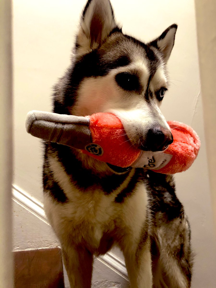 Friday mood #RoseAllDay