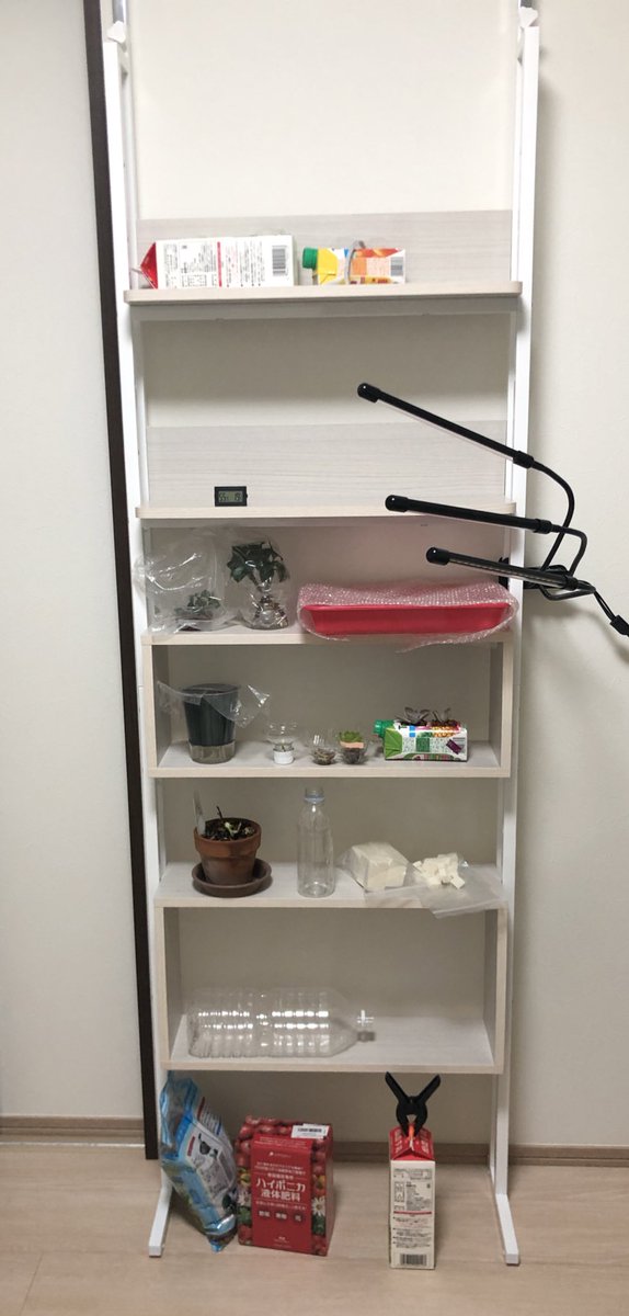 いざなぎ どっどーん 水耕栽培ブース用のウォールラック組み立てて とりあえず乗っけてみた W 色々実験途中なのと 霜が降りたせいで死にかけになったアロマティカスの養生とかで乗っかってるものの見映えは良くないけどw そして本日ハイビスカスが いざなぎ どっどーん 水耕栽培ブース用のウォールラック組み立てて とりあえず乗っけてみた W 色々実験途中なのと 霜が降りたせいで死にかけになったアロマティカスの養生とかで乗っかってるものの見映えは良くないけどw そして本日ハイビスカスが