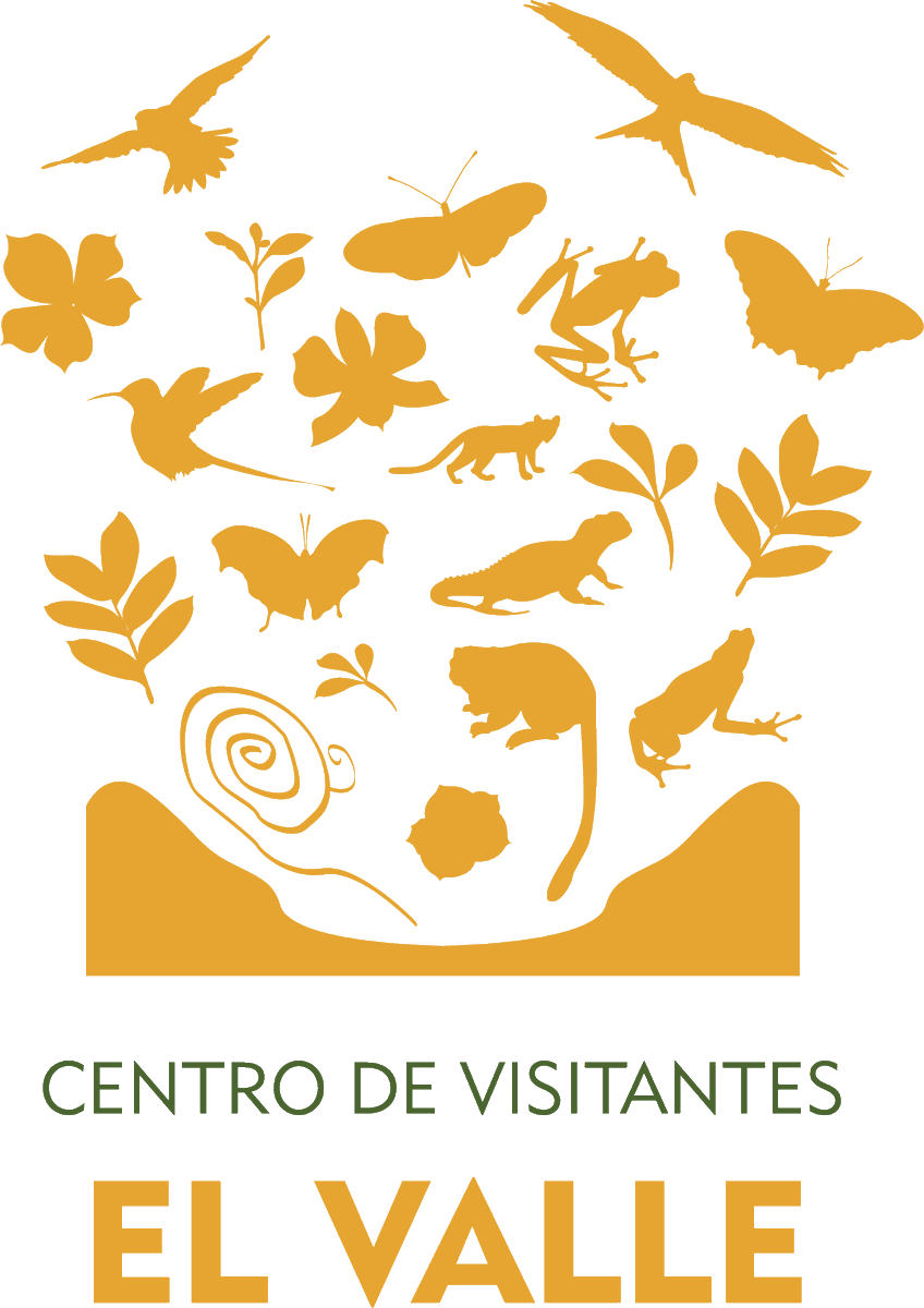 CentrodeVisitantesElValle (@visitantesde) on Twitter photo 