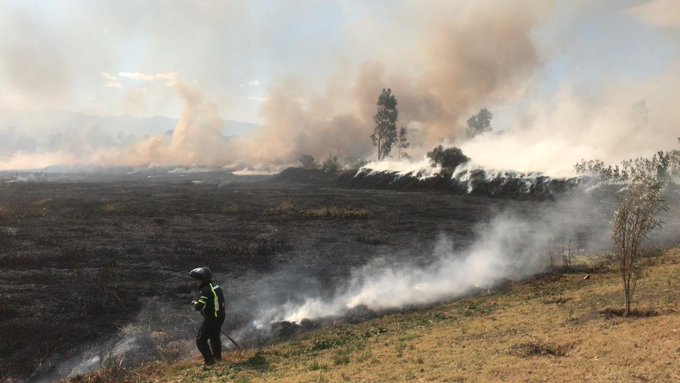 Faltan árboles, menos agua que pueda llegar al subsuelo, más agua al drenaje que expulsamos de la ciudad. Nuestros ecosistemas colapsan e inician los incendios. Muchos de estos, en lugares donde antes había lagos, humedales, ríos. Volvimos ecosistemas verdes, en pastizales.