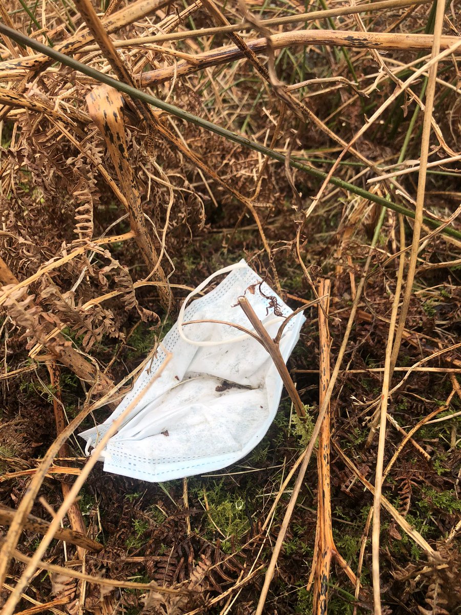 Fell walking is thirsty work but plastic bottles and more recently disposable face masks are littering our hillsides. Lucozade bottles are an almost daily sight but I’ve never seen ‘Moose Juice’ before! All removed from the hill today. Please #takeyourlitterhome