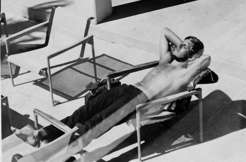 CCGAtweets's tweet image. #FlashbackFriday: This fella looks like he's enjoying the warmer weather as much as we are ☺️☀️🌊

#springsemester2021 #springbreak2021 #HailTheSail