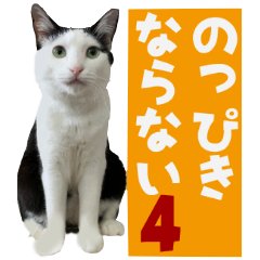 nya_nya_train's tweet photo. チームのっぴきならないです。
横浜で猫のために走り回っています。

LINEスタンプ発売中。
イラストのほか、しあわせになった保護猫たちの写真スタンプが発売になりました。
https://t.co/1D7N5UtY3d

Tシャツやエコバッグも販売してます。
https://t.co/GNANDYQ5h6

売り上げは保護費になります。 https://t.co/9Bg92aHTOo