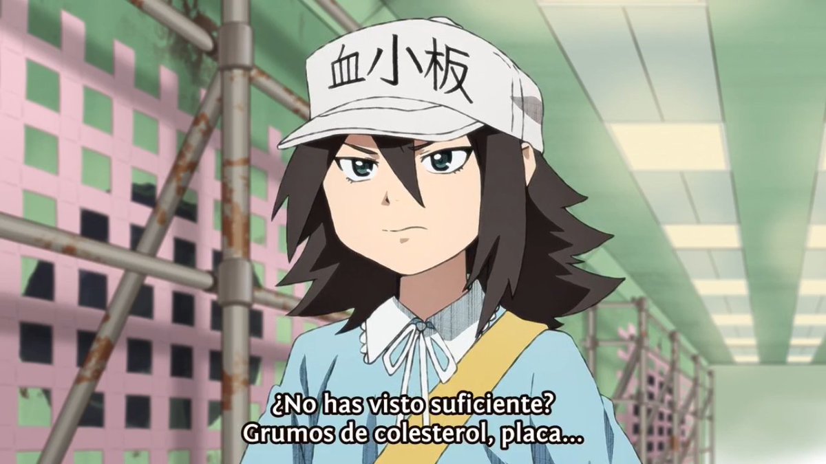 Kevin Saracho Kevinsarachook Twitter