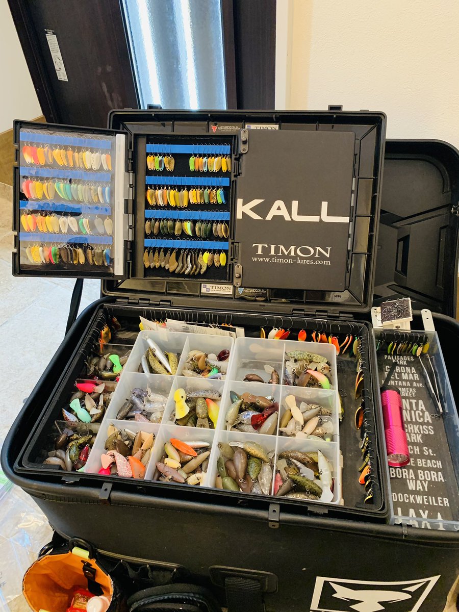 矢島俊介 tweet media