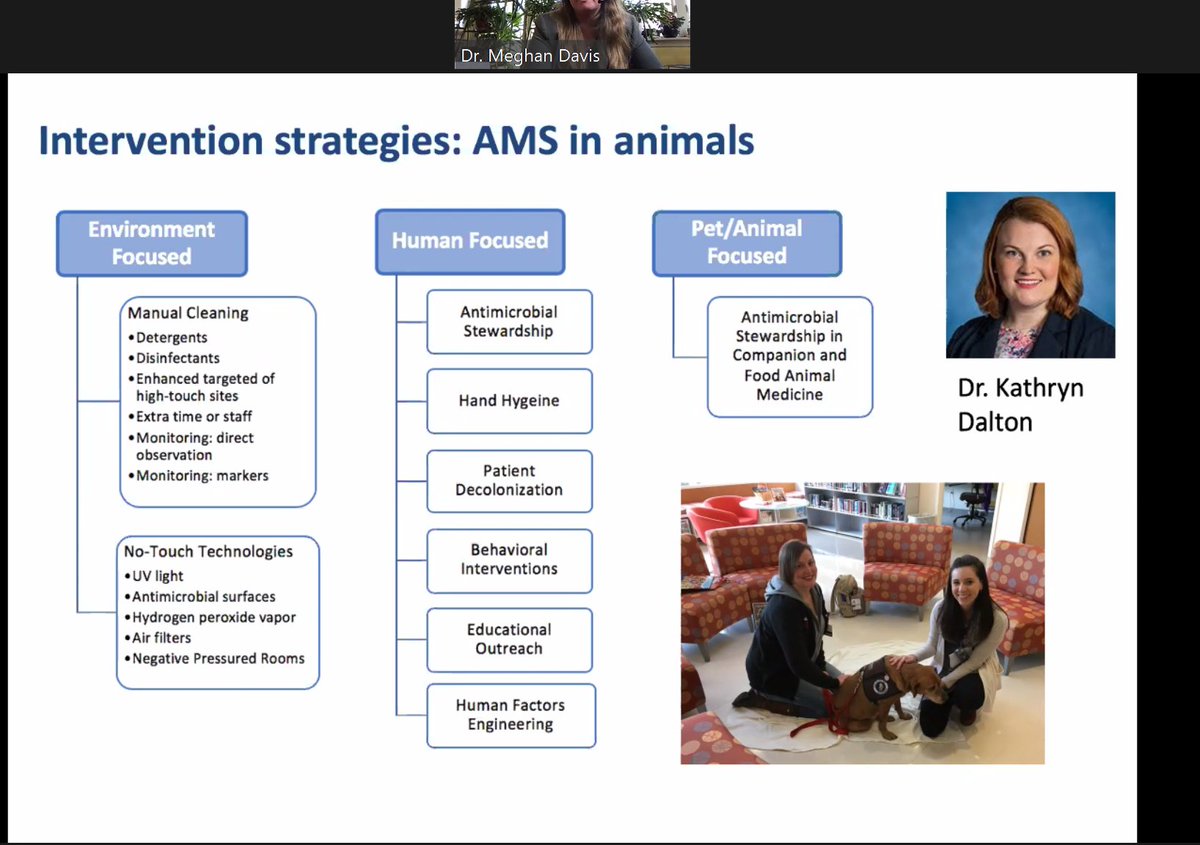 abvma's tweet photo. Dr. Meghan Davis @meghandavisdvm
 - researching pathways for resistant bacteria in the environment - occupational exposure, food sources, reservoirs in the home associated with MRSA #OneHealth #OHAMSC https://t.co/QRMa5dgMRx