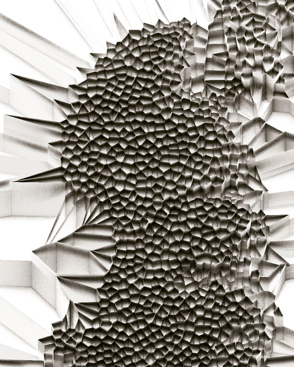 patternseeing's tweet photo. Voronoi
.
.
#generativeart #creativecoding #codeart #newmedia #genuary #geometry #nature #pattern #ArtistOnTwitter #voronoi #biomimicry https://t.co/HcjFvIt7Nj