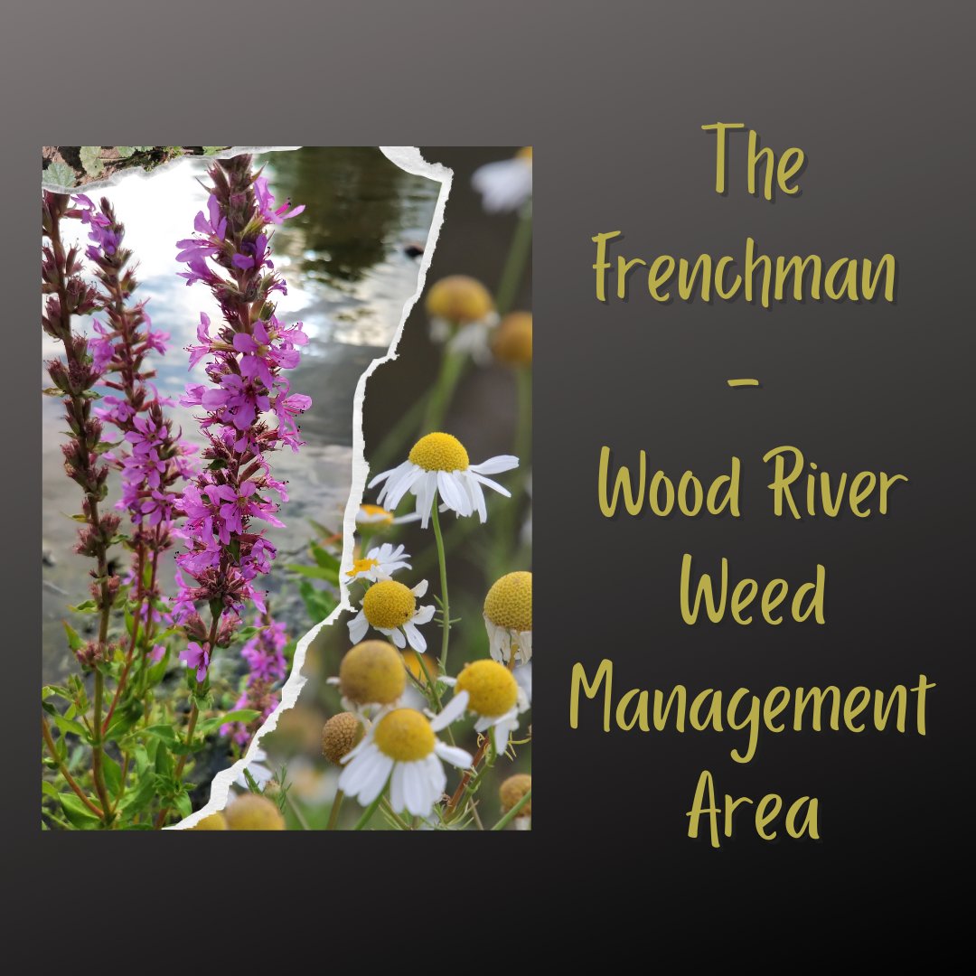 FWRWMA's tweet photo. Why have a WEED MANAGEMENT AREA? Well, they provide a cooperative community approach to invasive weed management. As well, as a group, resources and knowledge can be shared. A Weed Management Area also provides a local resource for land managers. #fwrwma #invasiveweeds https://t.co/ktYRsM9272
