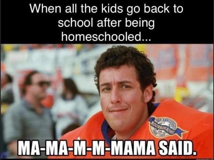 Been a little drought of quality memes, but we are rallying!
