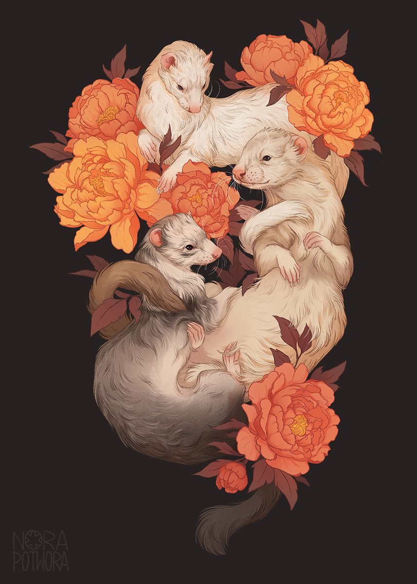 Floral pet poster commission for leo.mainecoon with her furry noodles; Pixie, Chubby and Evie!