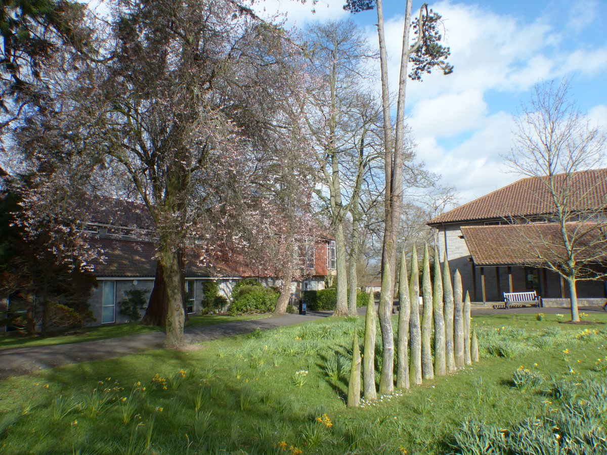 MillfieldSenior's tweet photo. Spring has sprung on campus here in #Somerset!🌼🌳

🌤️It's been lovely to see the campus alive with the return of our staff and students this week!

#Millfield #DiscoverBrilliance https://t.co/YBin26p14W