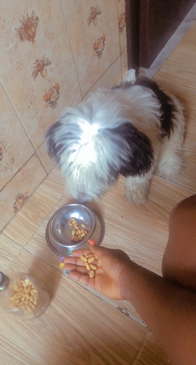 You wey follow me chop chicken must to follow chop groundnut....