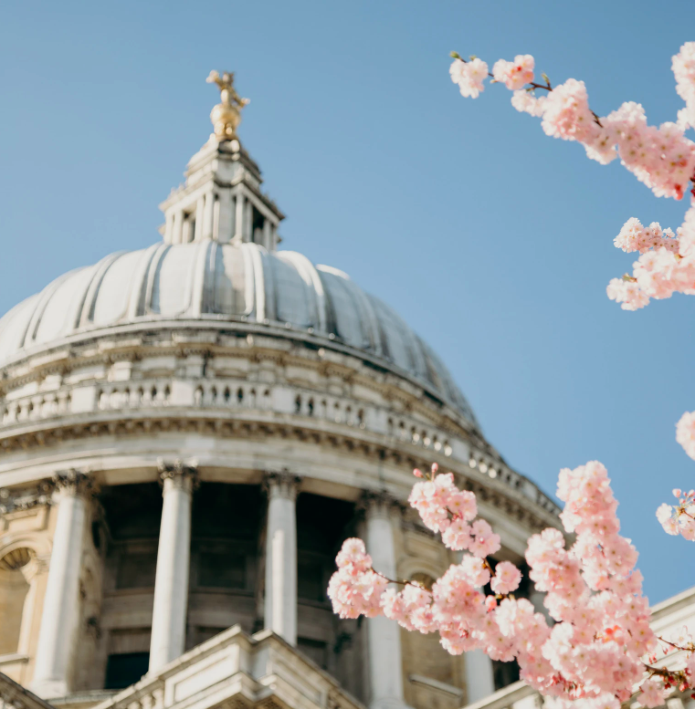 Fully fallen in love with Springtime London! 🌸
 
#LondonInSpring #LoveLondon #VisitLondon #Londoners