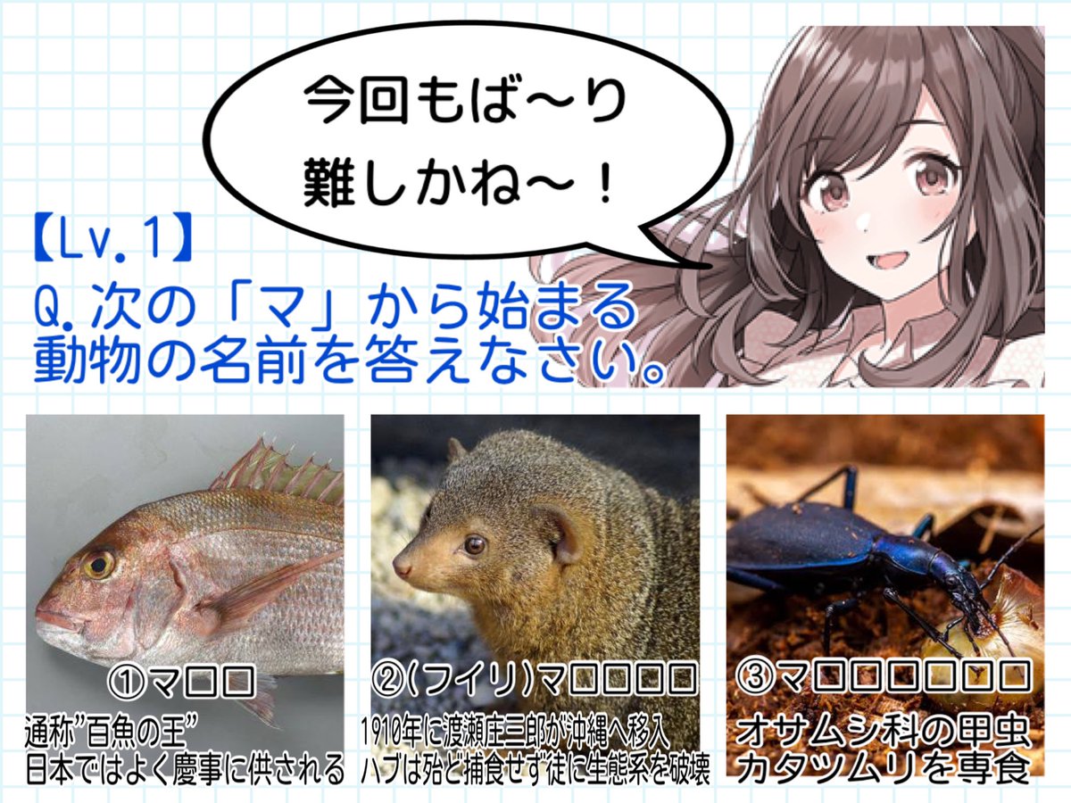 まるまる マダイ マングース マイマイカブリ マストドン マツカサウオ マルメタピオカガエル マヨイアイオイクラゲ マタコミツオビアルマジロ いつか絶対出すと思ってた マミチョグ マタベレアリ 10が全然出てこないです
