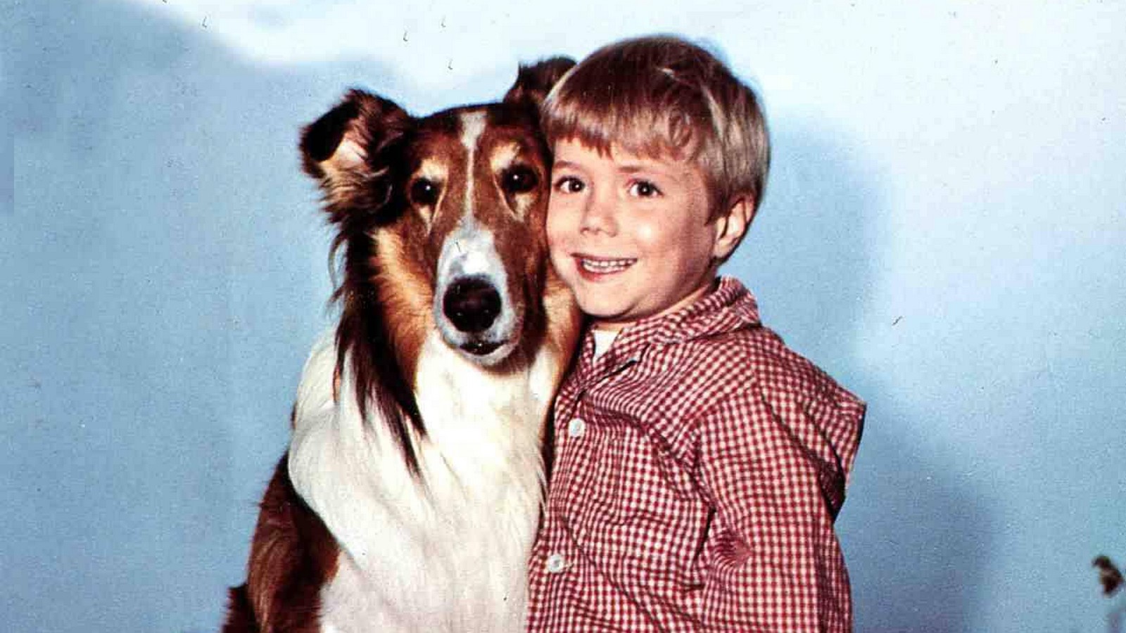 Happy Birthday dear Jon Provost! 