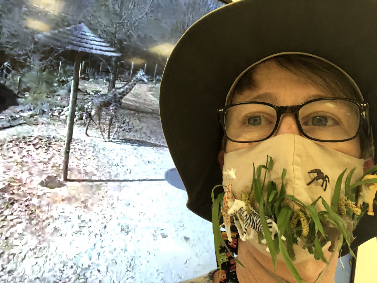 Mary Avans tweet media