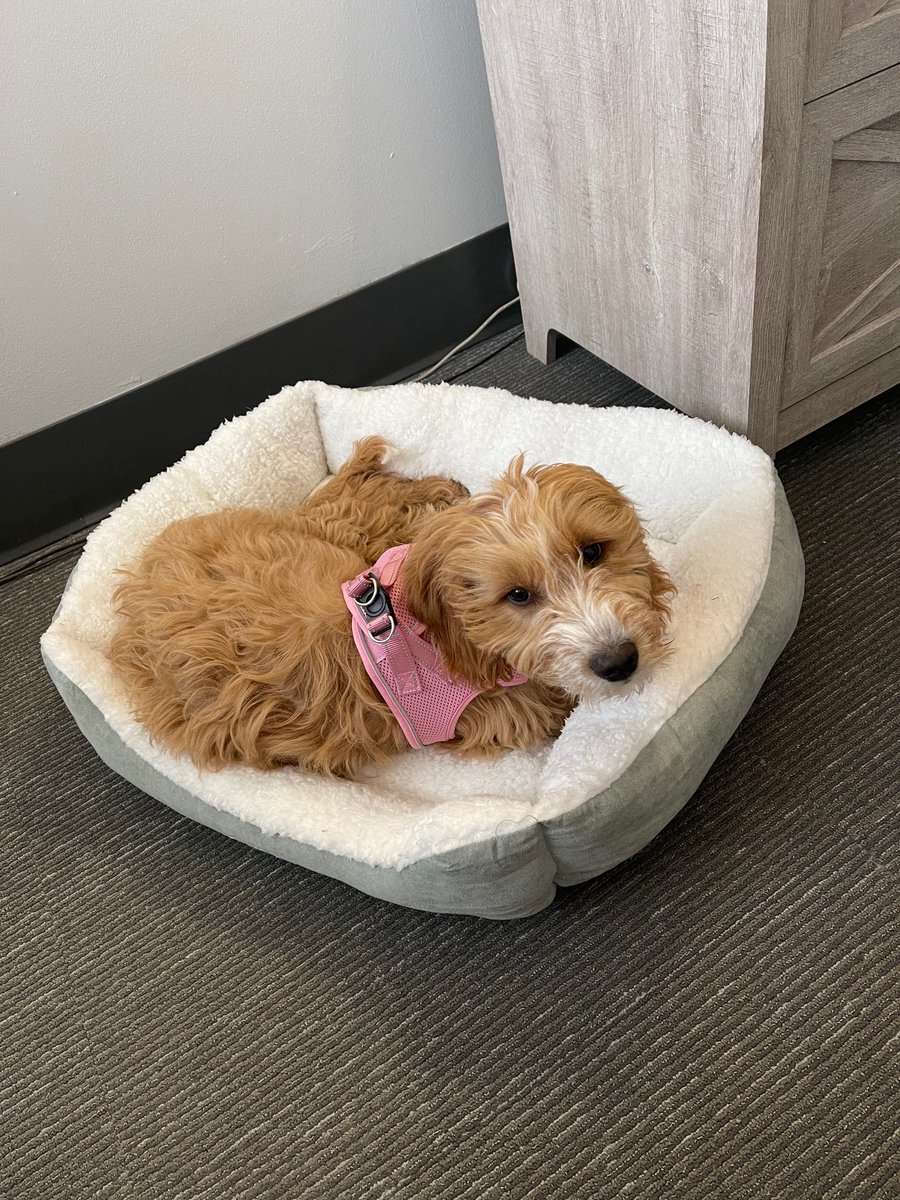 Tombras School of Advertising & PR tweet media