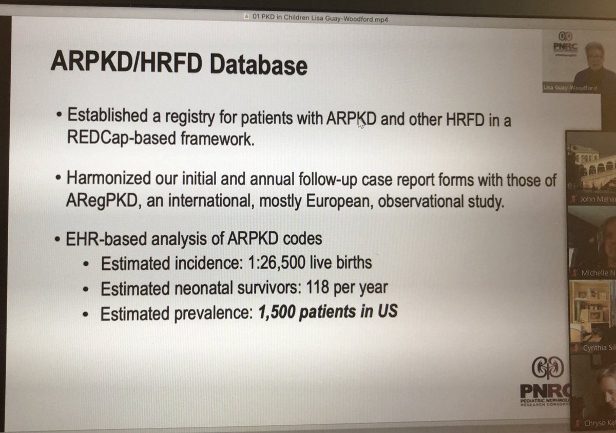 MedEdMahan's tweet photo. Lisa Guay-Woodford presenting the great PKD in Childhood Registry study that can help further our understanding of these serious disorders in children...... #PNRCSpring2021 @thePNRC @ASPNeph @IPNA_PedNeph great opportunity for research & scholarship... https://t.co/KrVep1Ev09